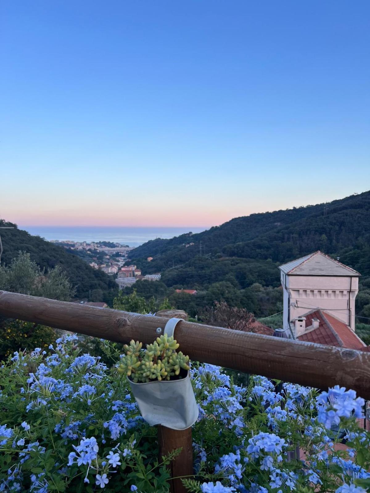 Il Rosale A Celle Ligure Bed & Breakfast Bagian luar foto