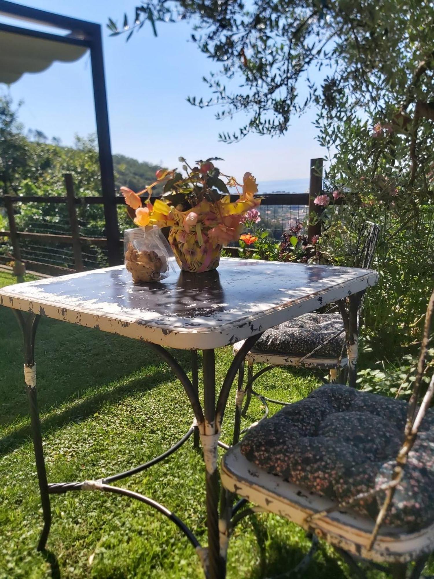 Il Rosale A Celle Ligure Bed & Breakfast Bagian luar foto
